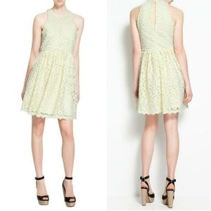 ZARA Guipure Lace Fit & Flare Spring Dress Medium